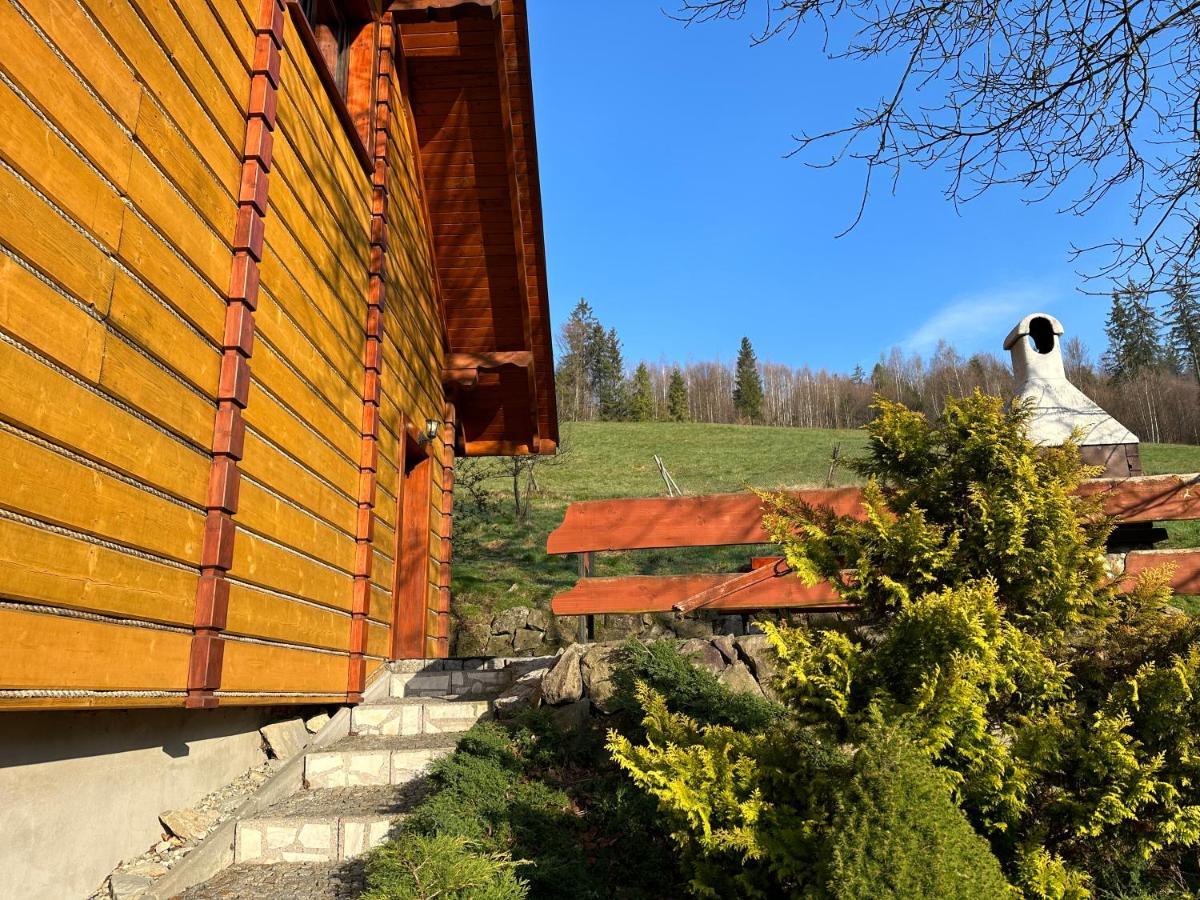 Willa Larysa Agro Wisła Εξωτερικό φωτογραφία